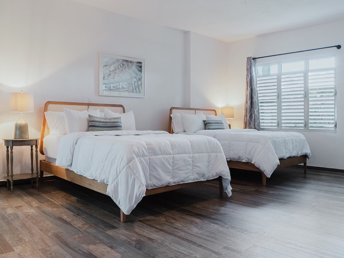 ✦ Terra Community Suite - Image 2